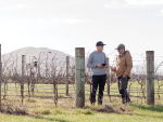 Integrape Pro: NZ Vineyard Data Gets Granular