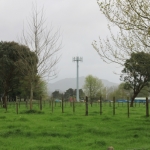 Rural broadband extends in Waikato