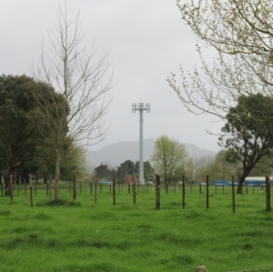 Rural broadband extends in Waikato