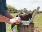 Data can now be shared between DairyNZ’s DairyBase and LIC’s MINDA software.