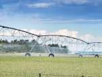 The Hunter Downs Irrigation Scheme has received $1.37 million.