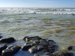 This photo, taken on 26 March 2021, shows discharge from Alliance Smithfield meat plant entering the marine environment off the coast of Waitarakao Washdyke Lagoon. Photo Credit: Environment Canterbury