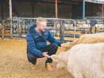 Matt Collier says probiotics have proven to be a game-changer in large-scale operations.