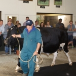 Top bull breeders celebrated