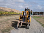 It takes a village - Craggy Range in Martinborough