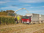 Growing maize silage on farm can provide quality dry matter at a keen price.