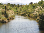 Farmers will soon have an app to help them make better decisions about how to control erosion and reduce sediment entering waterways.