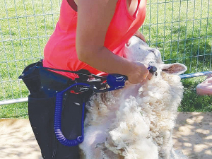 An optional customised cable allows greater reach down the long blows and between the sheep legs.