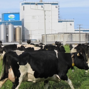 Fonterra issues botulism alert