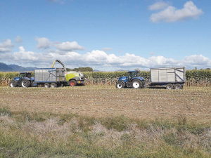 Bumper maize crop being harvested on Nacre and Anthony Maiden’s farm in Waikato.