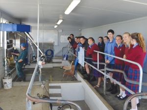 Feilding High School students visit the robotic milking shed.
