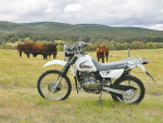 Farm bikes bred in NZ