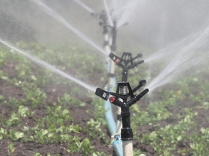 Using only 1.8% of our water for irrigated farms contributes between $2.2 billion and $3b to NZ&#039;s economy.