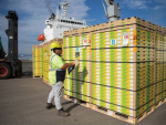 Record-breaking kiwifruit season comes to end