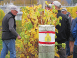 Mark Allen at a pruning workshop