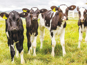 Dairy farmers are set to benefit from an enhanced genetic evaluations system.