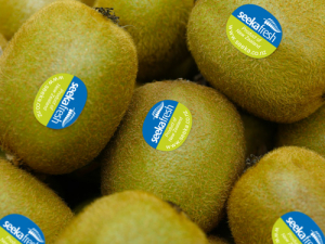 Seeka kiwifruit.