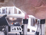 The new VMS300 stimulates better milk flow.