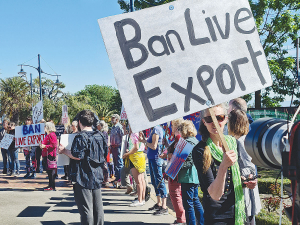 A petition has been launched to stop a proposal by the new Government to overturn a ban on live exports.