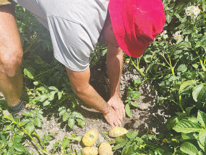 These are exciting times for the hort sector, with export revenues expected to reach a record $8 billion by 30 June, says Kate Scott.