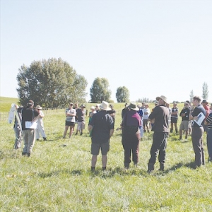 Field days will talk nutrients, soil