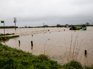 The impact of the flooding in the Buller region can be seen on Joan Hamilton&#039;s farm, on State Highway 67A, heading out to Carters Beach, near Westport. Photo: Jules Anderson Photography.