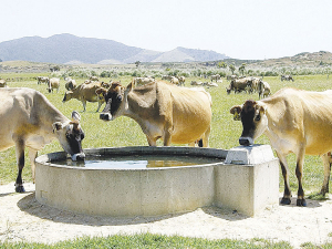 Animal health and welfare is a top priority as the dairy sector experiences dwindling magnesium supply.