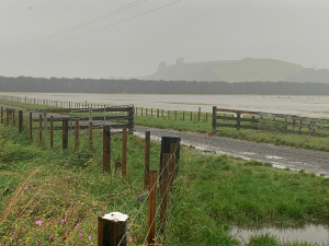 T&amp;G assessing cyclone damage