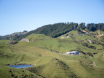The first property open for expressions of interest is Mahiwi Farm.