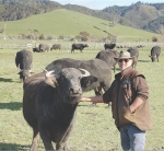 Buffalo soldiers in the heart of Clevedon
