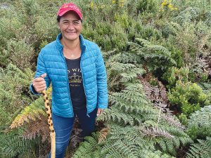 Kaai Silbery says Chatham Island gorse plants are one of the secrets to her highly successful and award-winning honey business.