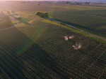 WinePro: Amping up ideas at expo