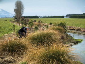 Taranaki ‘people power’ shines