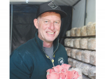 Wainui-based mushroom grower Colin Cambier with pink oyster mushrooms.