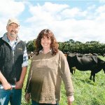 Good planning lifts milk yield