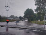 The Government has activated Enhanced Taskforce Green to help with relief efforts amid flooding and storm damage in the upper North Island.