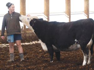 Animal welfare and comfort were among the first reasons for dairy farmer Graham Wall to install a composting cow barn on his Mayfield, Mid-Canterbury property.