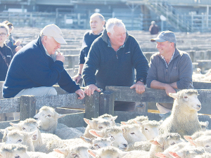 B+LNZ is warning that some sheep and beef farmers are unlikely to make a profit this coming season.