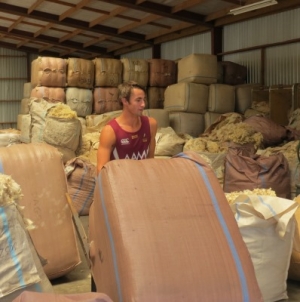 Wool holds firm
