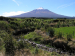 $5m Govt boost for Taranaki planting