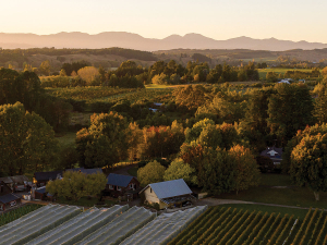 Moutere Magic: Evolving legacy at Neudorf