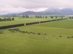 Technology company Halter says its first nationwide roadshow featuring industry experts has been eagerly anticipated by farming communities.