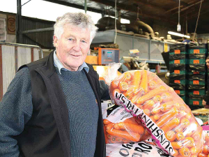 Farmer Ron Frew feeds reject carrots and potatoes to his cows.