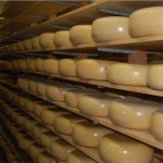 Prize-winning cheddar suits the more mature