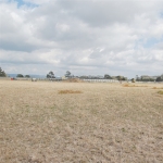 Fully utilise spring pasture before the heat reduces growth.