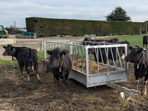 LUDF adopts tactical variable milking to boost profitability