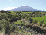 The amount of nutrients, sediments and bacteria reaching a water body will depend on catchment features.