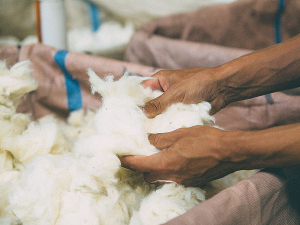 The future of Bremworth’s woollen yarn plant in Napier remains up in the air.