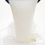 Lactose maker joins dairy auction