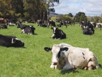 Tasmania farmers have reduced their power bills.